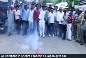 Jagan_Mohan_Reddy_celebrations_295_2.jpg
